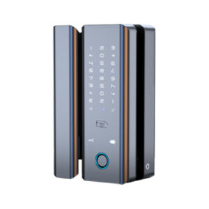 Secuview Smart Glass Door Lock Device for Office Security