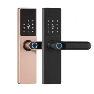 Secuview Smart Home Door Lock with Remote Control