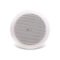 PA Ceiling Speaker